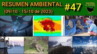 Resumen Ambiental #47