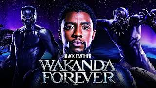 Black Panther 2 haría que este personaje sea Pantera Negra para la Fase 4