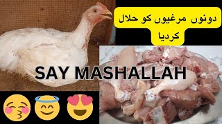 2 Dono  Murghio Ko Halal Krdia - Say MashAllah