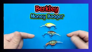 Fishing lures Berkley money Badger crankbait unboxing