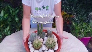 Beautiful Cactus Arrangement | Mini Cactus Garden | Cactus Dish Garden