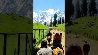 Sonamarg the Meadow of Gold