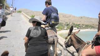 Donkey Ride in Greece!