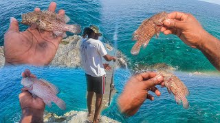 First Fish On The Line Rock Fishing