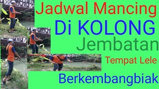 Jadwal Mancing Lele Di Kolong Jembatan Hujan Strike