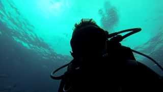 Diving in Tenerife - GoProHero3