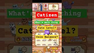 Catizen Mining July update | Catizen cat level, CATIZEN airdrop update