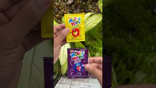 Magic Pops reaction 😱Wait till end #shortvideo #sho#trending #viral #chocolate #experiment