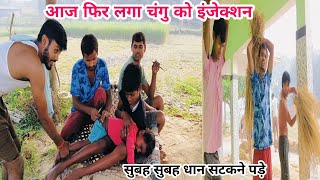 इंजेक्शन चंगु को क्यों लगा दिए || सुबह सुबह धान सटकने पड़े || #doctor #injection #villagelife #vlog