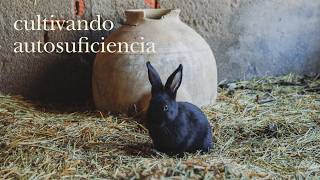 Criamos Conejos en Casa para Autoconsumo - Vida en el Campo