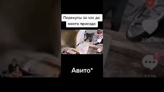 Перекупы за час до моего приезда: