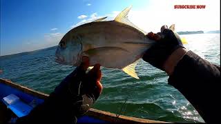 Mangrove Jack & Trevally GT fishing  समुद्रात बोटीतून फिशिंग करून पकडले कोकेर मासा & ताम्बोशी मासा.