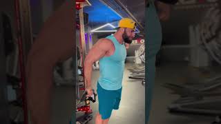 Superset 2 Biceps+Triceps