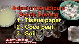 Adenium Arabicum Seeds Sowing | Tissue paper | Coco peat | Soil