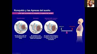 Trastornos de sueño y apneas de sueño - Enf. Respiratorias (I Ciclo Seminarios INUBE)