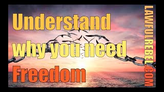 Freedom - The essential condition for human flourishment