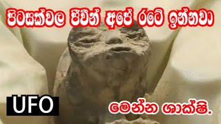 පිටසක්වල ජීවීන් ලංකාවෙන්  සොයා ගැනේ#wistharey#your#channel