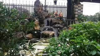 Beautiful koi aquarium_ gốc sân vườn đẹp kết hợp hồ cá _ 0914.818.500