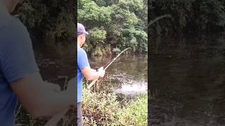 Langsung Di Sambar. #fishing #orangcastinggabus #shortvideo #shorts #short