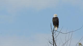 Mississippi: Reads Landing to Wabasha