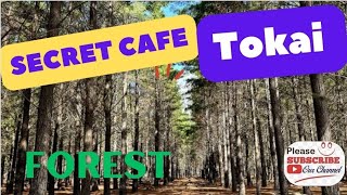 Searching for The Secret Cafe | Tokai | Forest | Cape Town | South Africa 🇿🇦