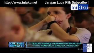 7 Teror Hewan Pemangsa Manusia