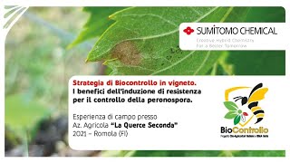 Biocontrollo su vite. Romeo: I benefici dell’induzione di resistenza per il controllo di peronospora