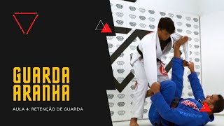 Conceitos da guarda-aranha: retenção de guarda - AULA 4