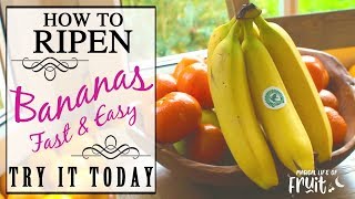 How To Ripen Bananas (FAST & EASY) Try It Today