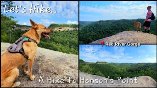 A Hike To Hanson's Point - Hanson's Point - Red River Gorge Geological Area - Kentucky - 7/31/23