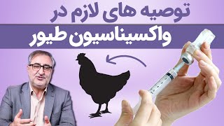 توصیه های لازم در واکسیناسیون طیور