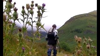 The Cruachan Hills, Ben Cruachan & Stob Diamh. 2004-05.