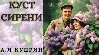 "КУСТ СИРЕНИ", А.И. КУПРИН, аудиорассказ, читает Nelli Muse