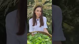 Идём готовить щи из крапивы - mood дня 🍵 @Kanonnikova  программа «Тайны трав» 🌱