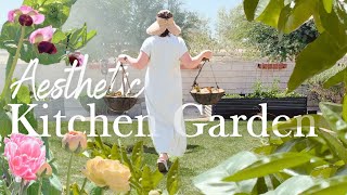 Tour My Kitchen Garden Filled with Flowers and Vegetables | Harvest & Plant Hanging Baskets