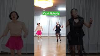 #부산라인댄스 #주말반 #funlinedance #상급반 #라인댄스자격증 #cantnobody