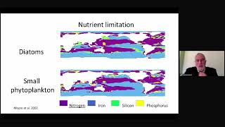 Francois Morel: The Effect of Ocean Acidification on Marine Phytoplankton