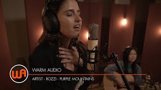 Warm Audio // Rozzi "Purple Mountains" - Dubway Studios - WA-251