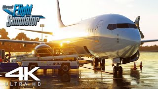 [4K] Microsoft Flight Simulator 2023 | MAXIMUM SETTINGS | iAero-800 -Landing At Punta Cana Airport