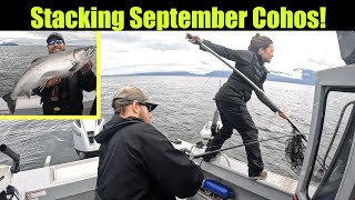 Stacking September Cohos! Alaskan Silver Salmon Fishing - Juneau, Alaska! SEPTEMBER 2022