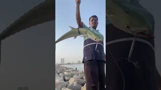 ராஜா மீன் 🐟 🎣 👑 #trending #tamil #fish #youtubeshorts #mass #shorts #subscribe