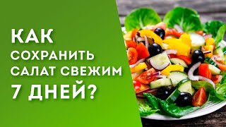 Как сохранить листья салата свежими? Как правильно хранить их в холодильнике | Доктор Лив #shorts​