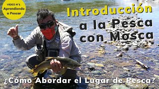 ¿Cómo Abordar el Lugar de Pesca? Introducción a la PESCA CON MOSCA /Video N°1 / Aprendiendo a Pescar