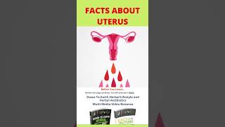 Facts about uterus / interesting uterus / facts about human uterus / #Shorts / English