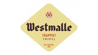 Westmalle Trappist Tripel 9.5% ABV - SwillinGrog Beer Review