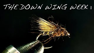 Deer Hair Wings | Week 1 The Down Wing