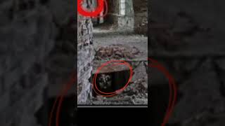 Scariest things hidden in normal photos 😮 #scary #creepyfacts #shortvideo #shorts