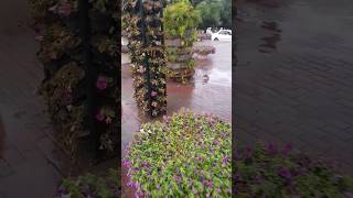 Rain in Lahore - Today's beautiful weather #youtubeshorts #trending #islamicvideo #pakistan