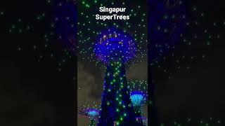 Singapur Gardens by the Bays Lightshow SuperTrees #shorts