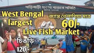 খড়িবাড়ি জ্যান্ত মাছের আড়ৎ। khoribari live fish market |জ্যান্ত মাছের সেরা ঠিকানা।।খড়িবাড়ি। Khoribari